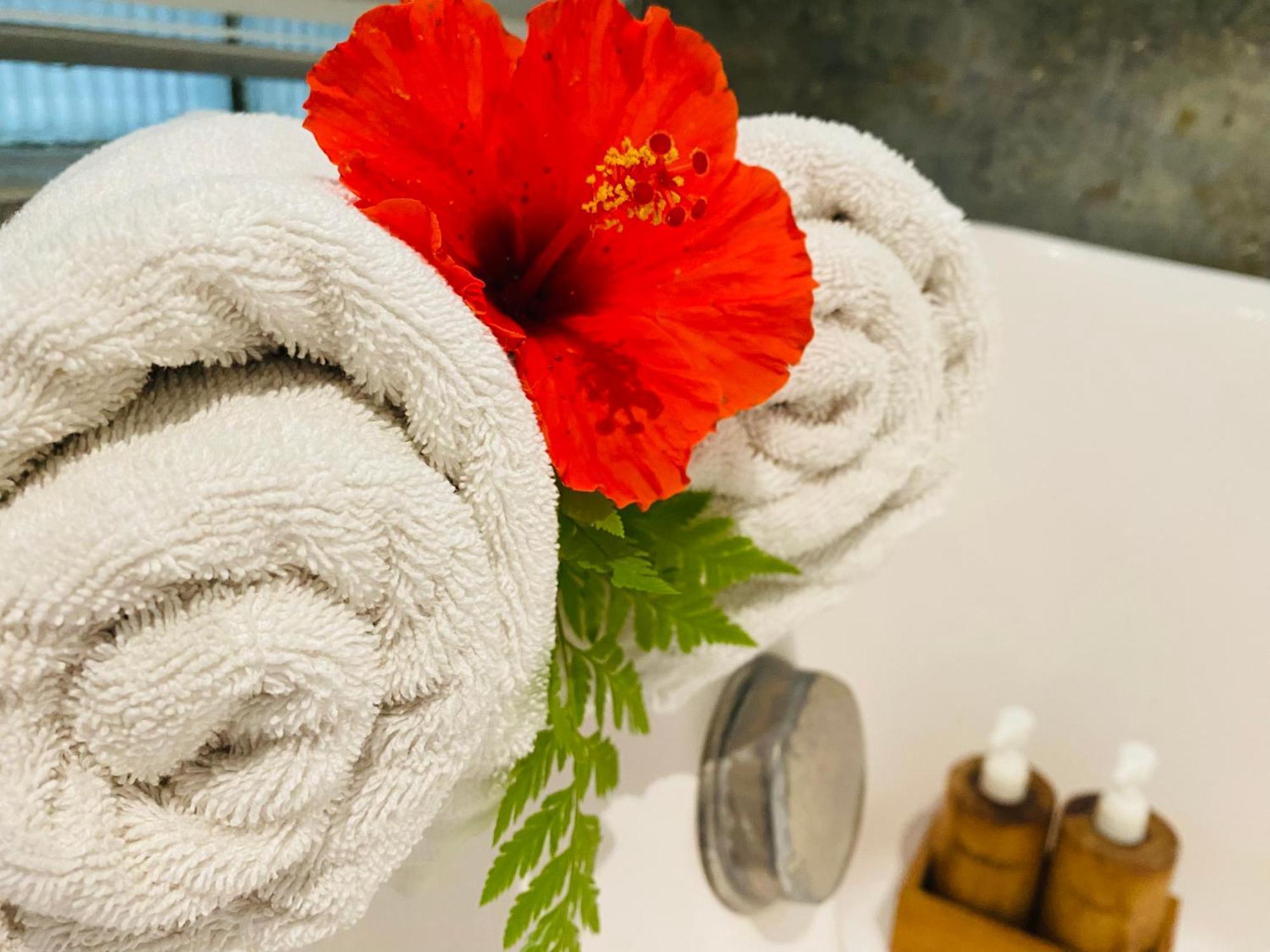 Aura Bisma Guesthouse Ubud Zewnętrze zdjęcie