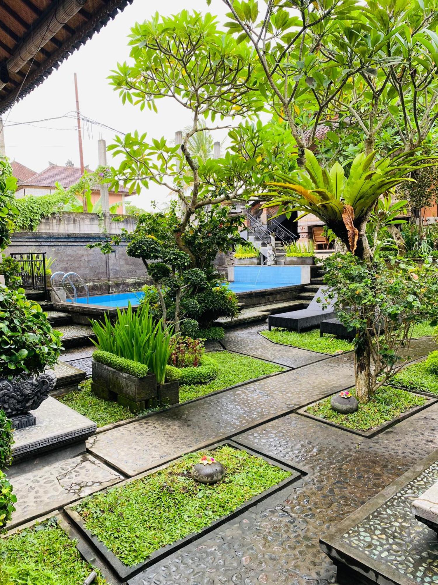 Aura Bisma Guesthouse Ubud Zewnętrze zdjęcie